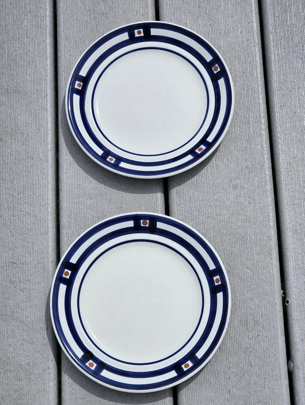 Mikasa White Plates with Navy Rings and Rust Accents